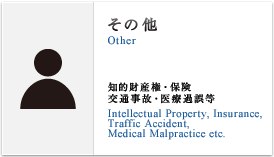 その他(Other) 知的財産権,保険,交通事故,医療過誤等(Intellectual Property, Insurance,Traffic Accident,Medical Malpractice etc.)